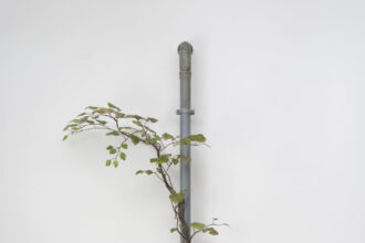 Álvaro Urbano. VEINS